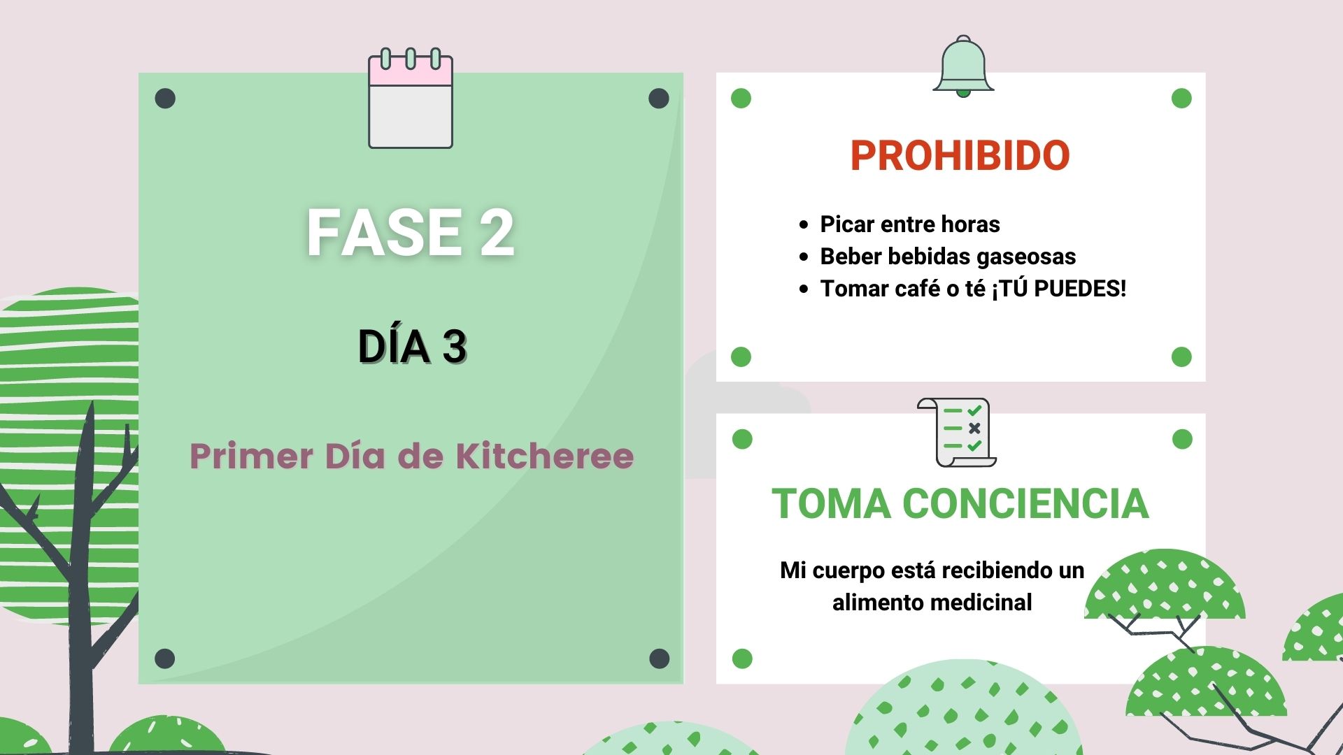 fase 2 dia 3 detox ayurvedico inma corpas fase 2 dia 3 detox ayurvedico inma corpas